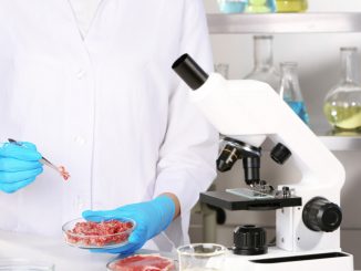 ورود گوشت آزمایشگاهی به منوی رستوران‌ها