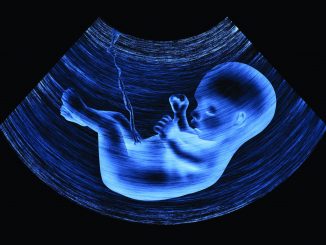 مشاهده ذرات میکروپلاستیک در جنین